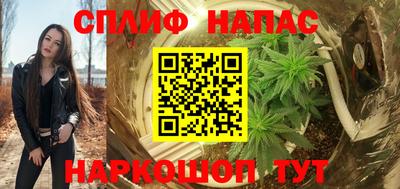 МДПВ Шали