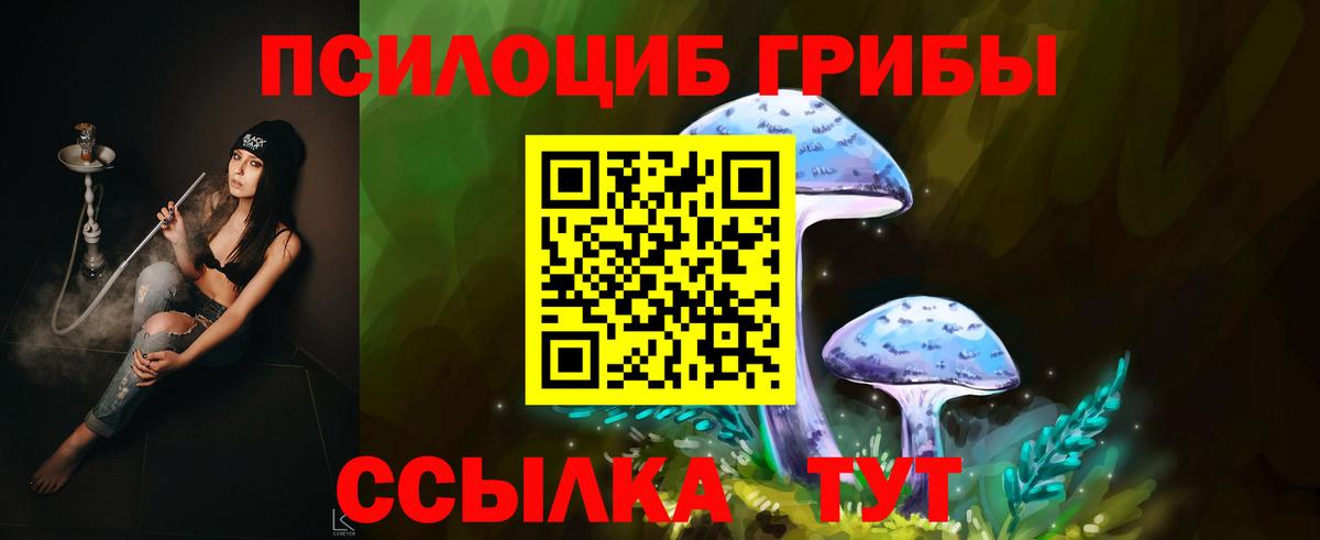 Псилоцибиновые грибы GOLDEN TEACHER Кудымкар