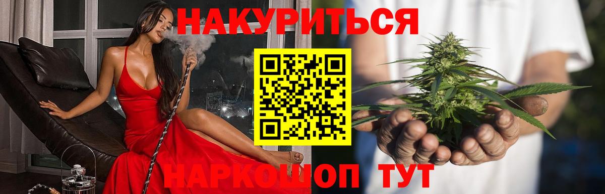 Бошки марихуана планчик  Бошки марихуана White Widow  Кудымкар  Вход с VPN  Канабис конопля 